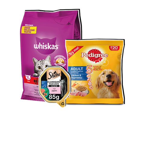 Dierenvoeding