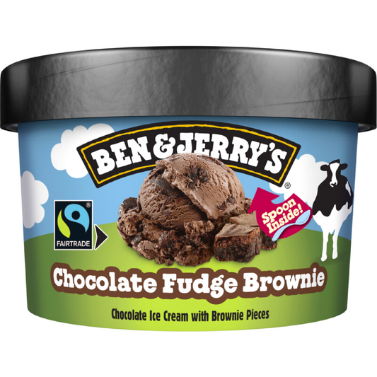 Ben & Jerry's Chocolate Fudge Brownie 100ml